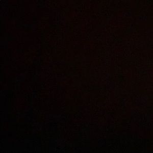 Meet your Posher, Ann